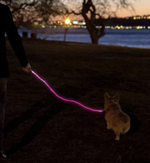 DogNite Leash