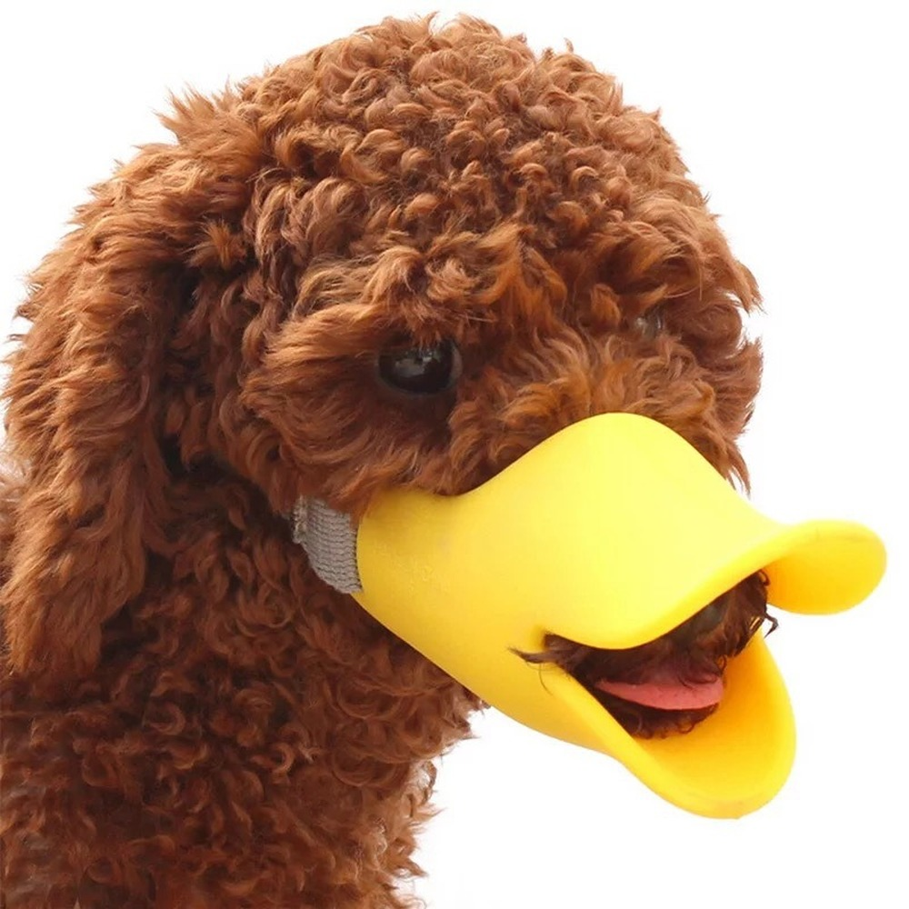 Duckydoo