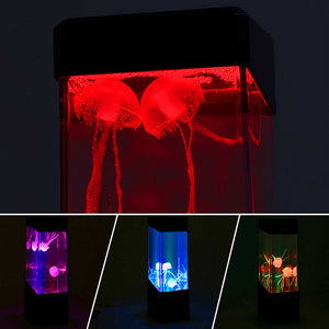 JellyLamp Aquarium