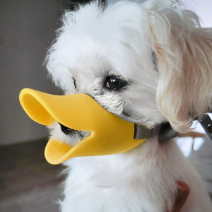 Duckydoo