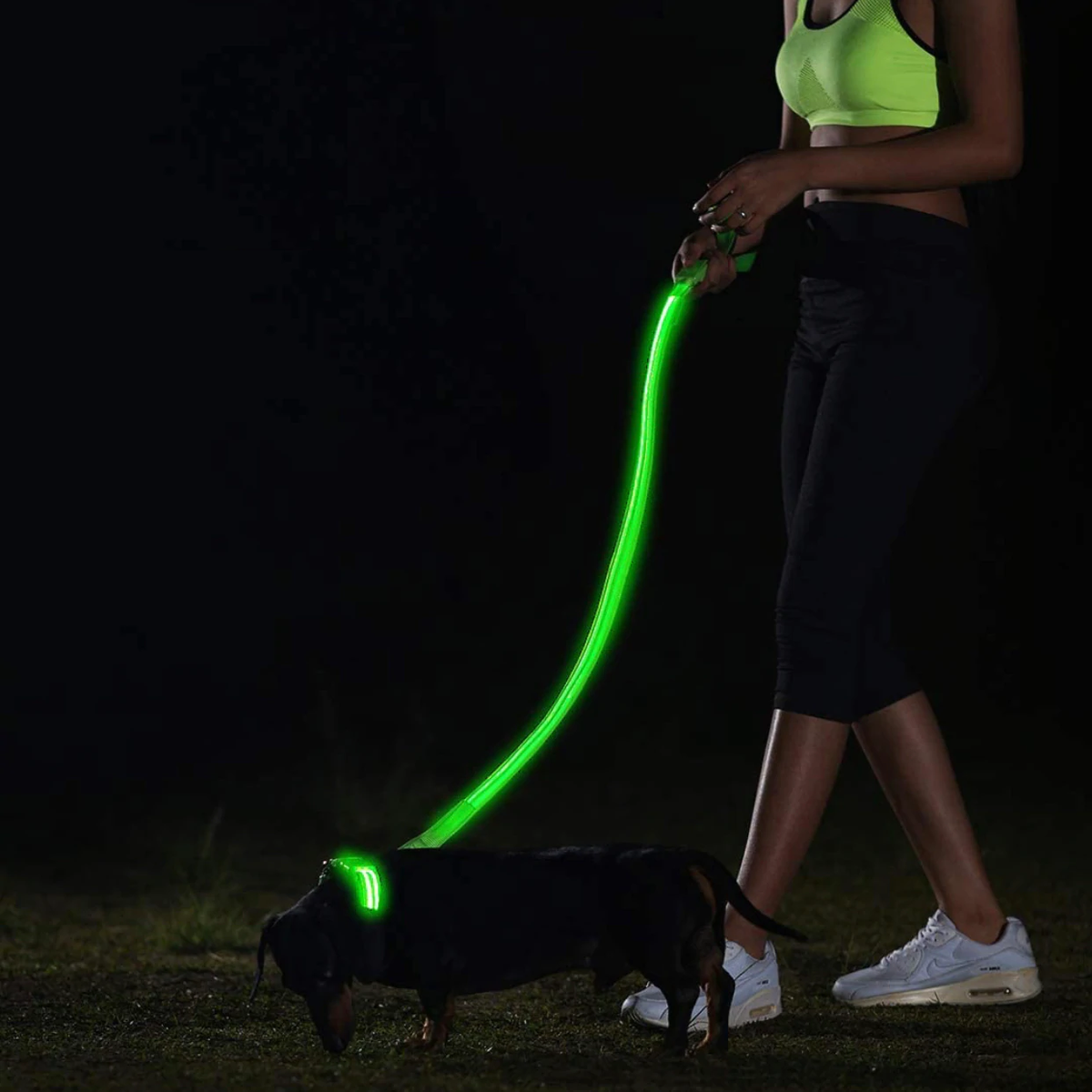 DogNite Leash