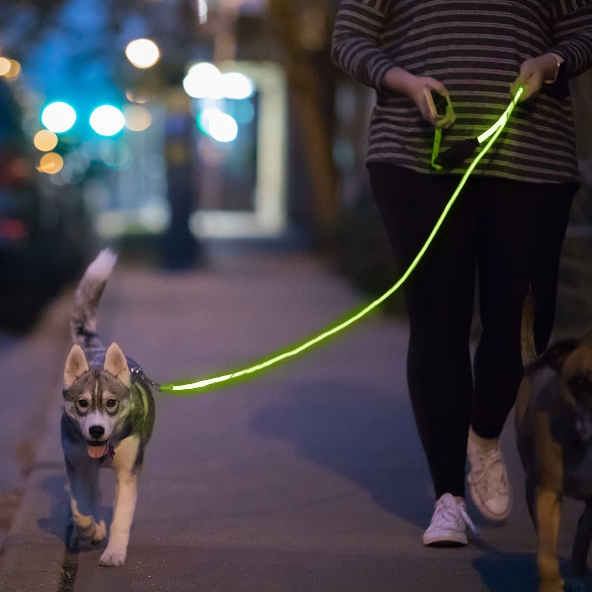DogNite Leash