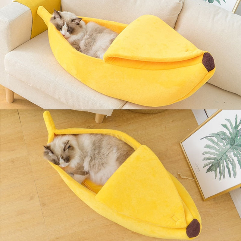 Cozy Banana