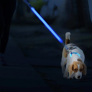 DogNite Leash