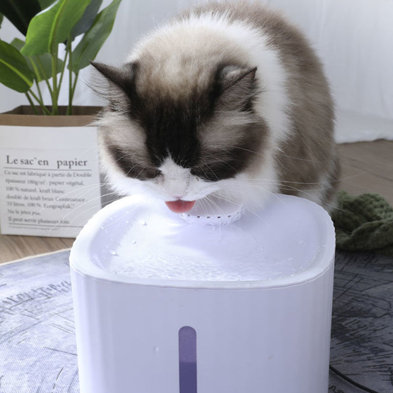 Pet Fountain