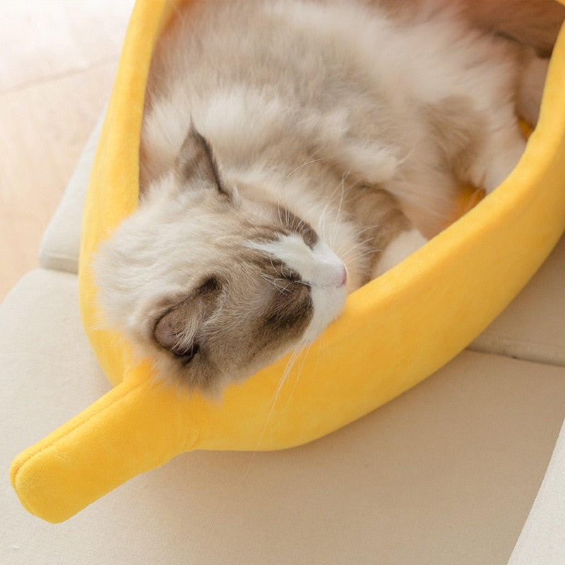 Cozy Banana