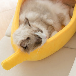Cozy Banana