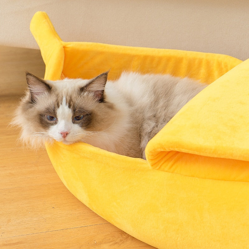 Cozy Banana