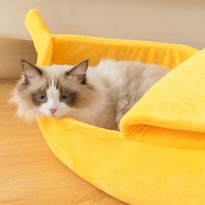 Cozy Banana