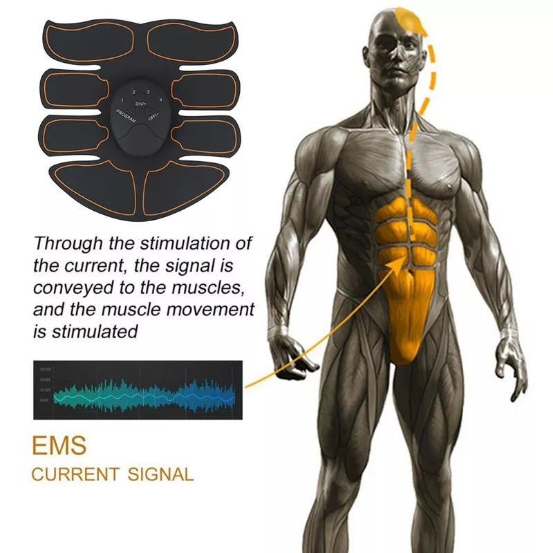 Smart Body Builder Pro