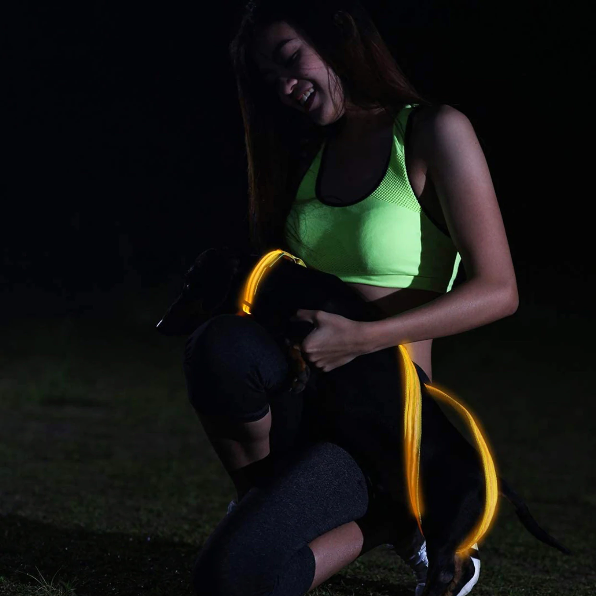 DogNite Leash